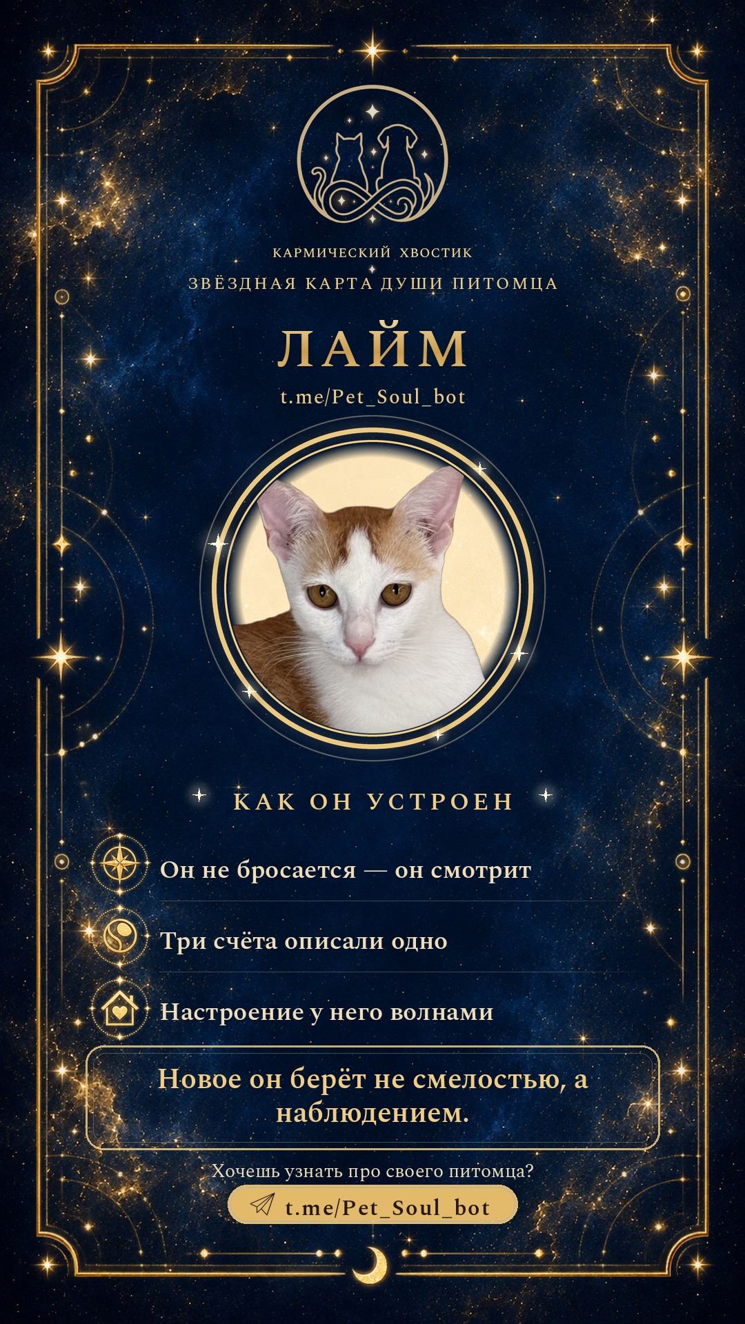 Карточка: как он устроен