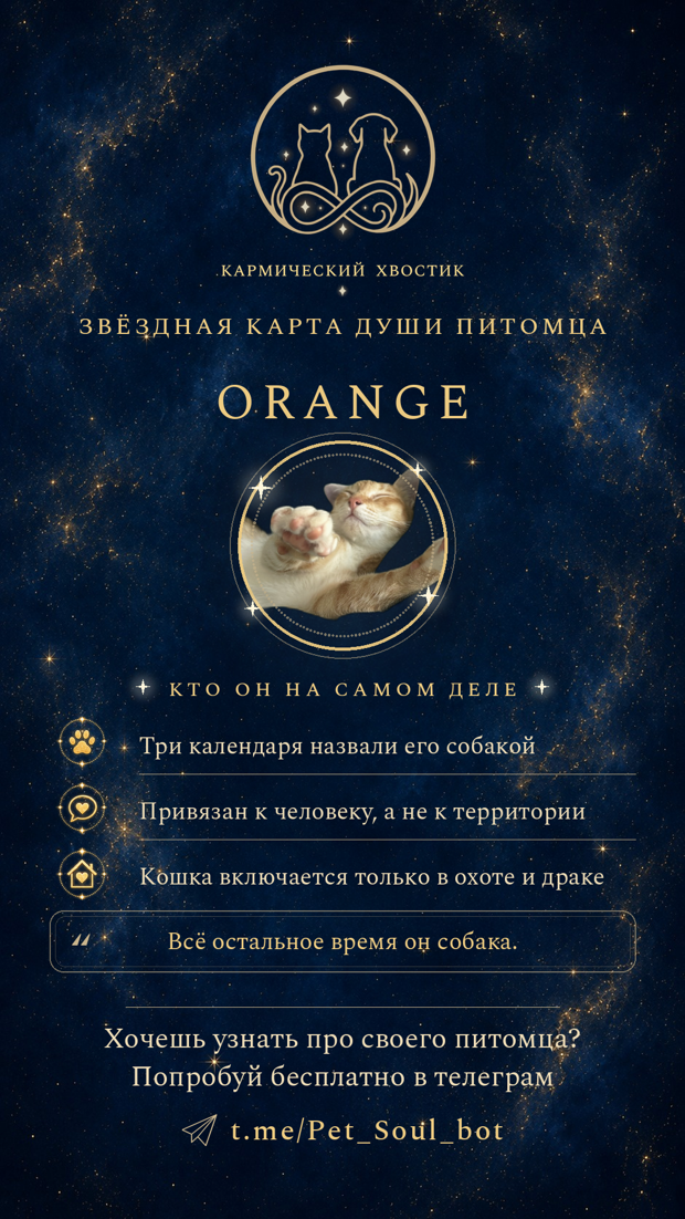 Карточка: самые яркие черты