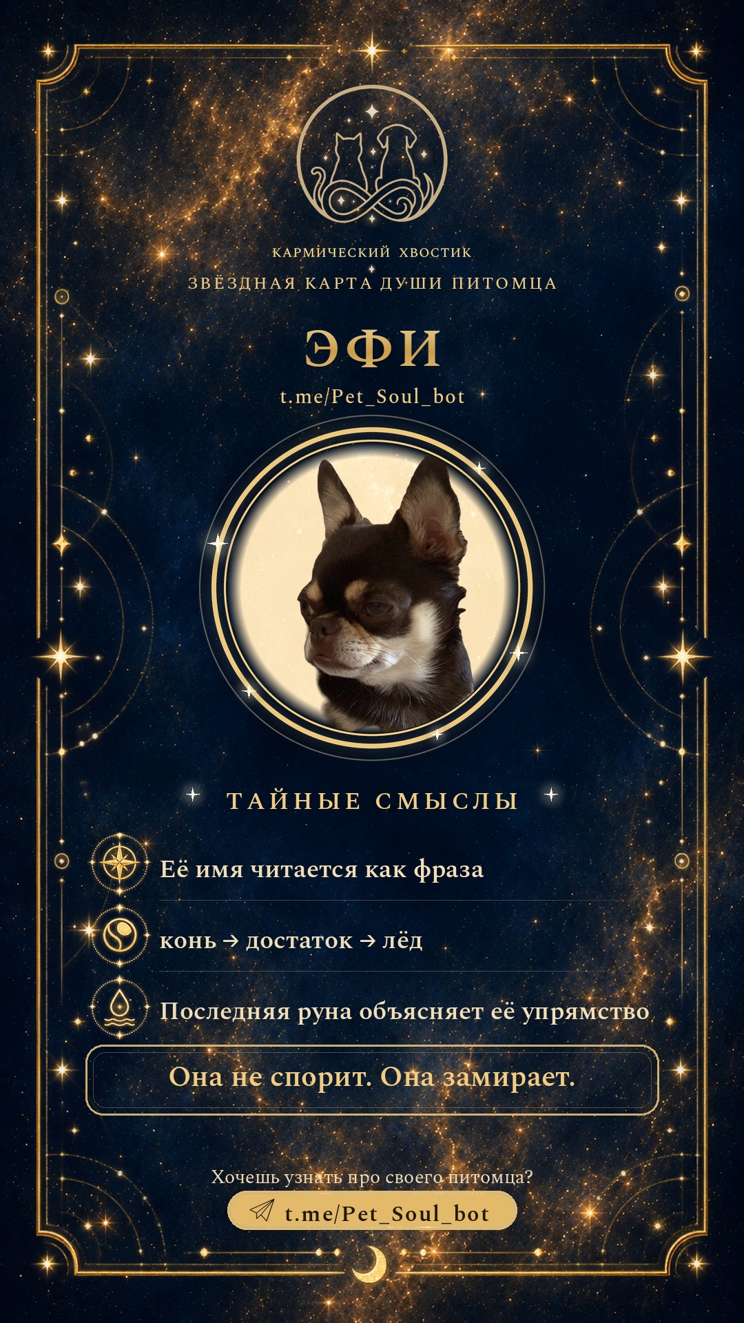 Карточка: тайные смыслы