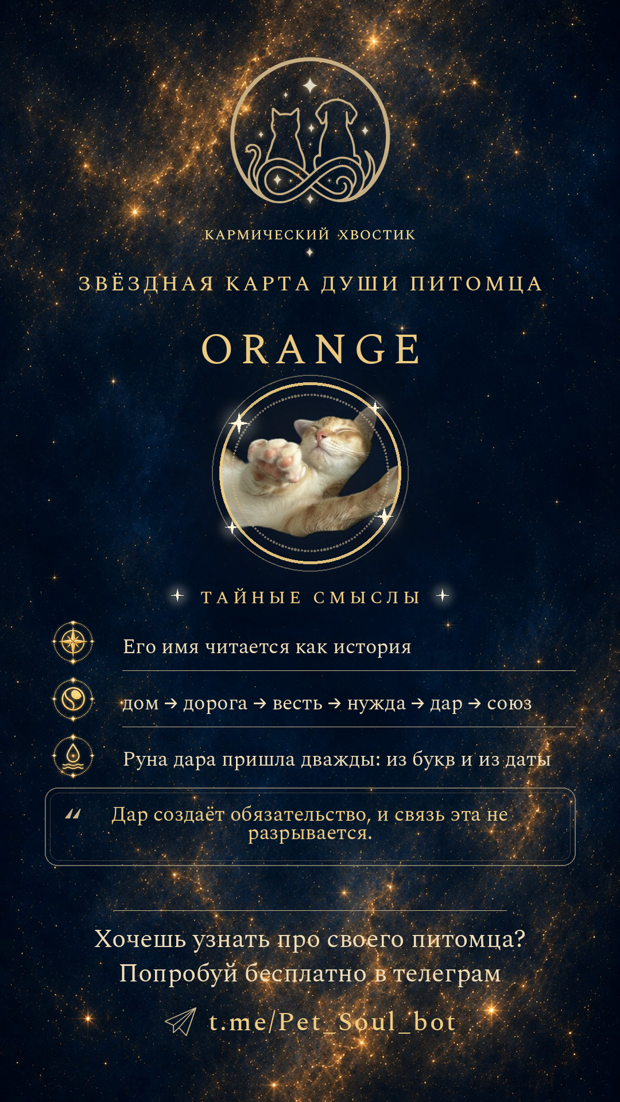 Карточка: тайные смыслы