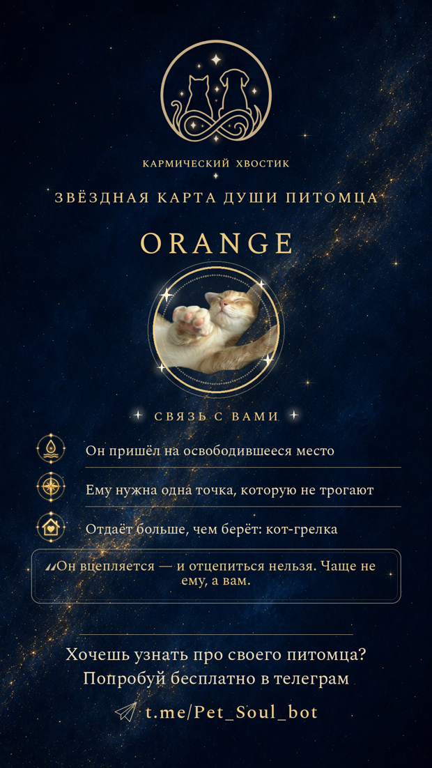 Карточка: связь с вами