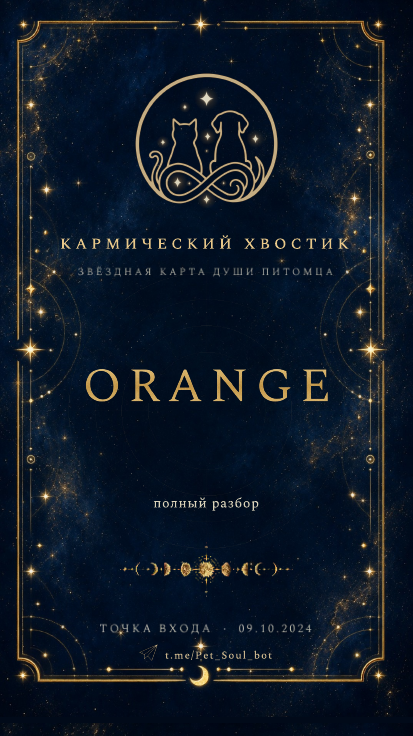 Обложка отчёта