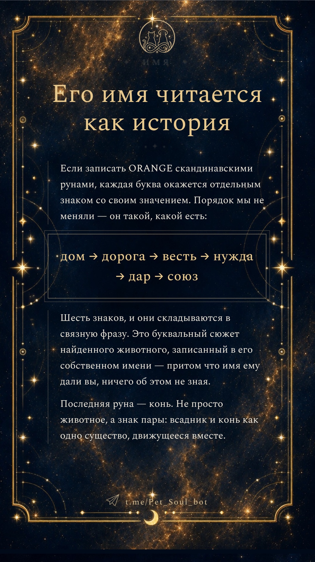 Разворот отчёта: имя питомца по рунам