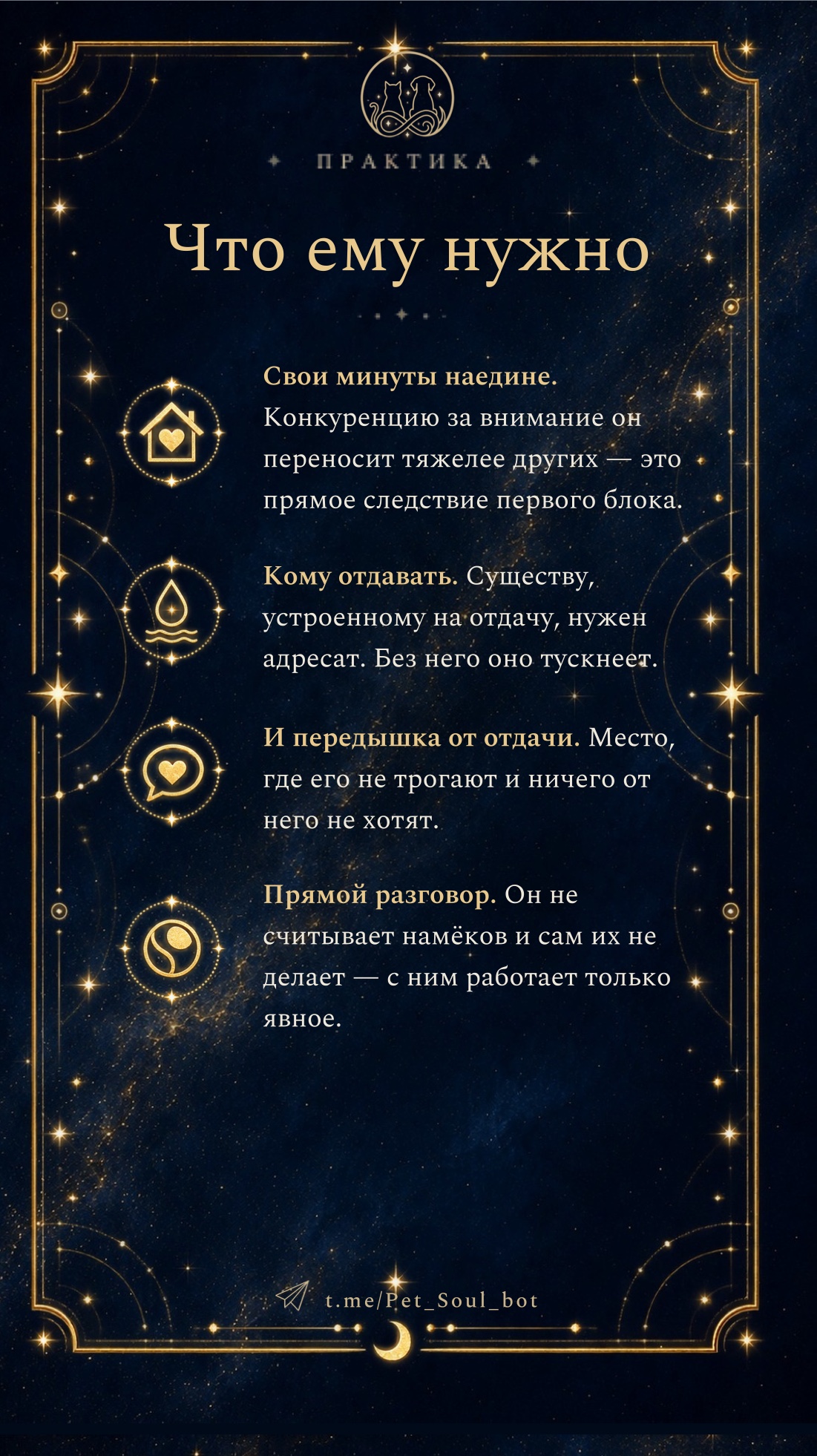 Практический раздел отчёта: что ему нужно