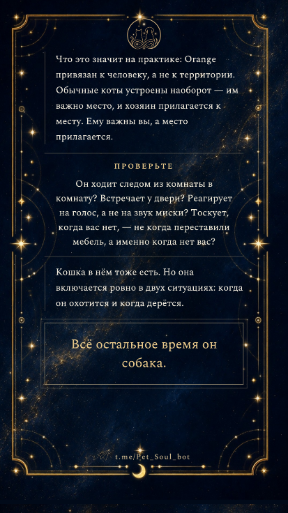 Страница отчёта